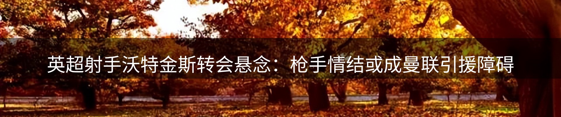 新闻中心